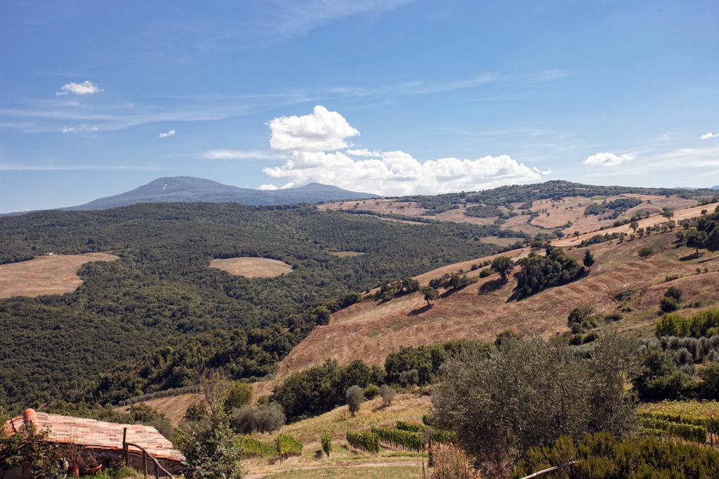 Podere Casella Villa Castiglione dʼOrcia Exteriör bild